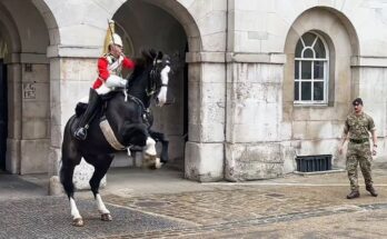 King’s Guard Shows Exceptional Horsemanship when Tourists Did this !