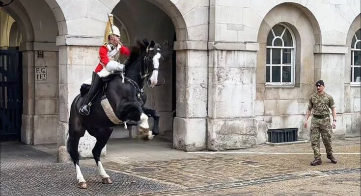 King’s Guard Shows Exceptional Horsemanship when Tourists Did this !