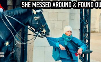 Shocking Moment Royal Guard Horse Bite Woman !