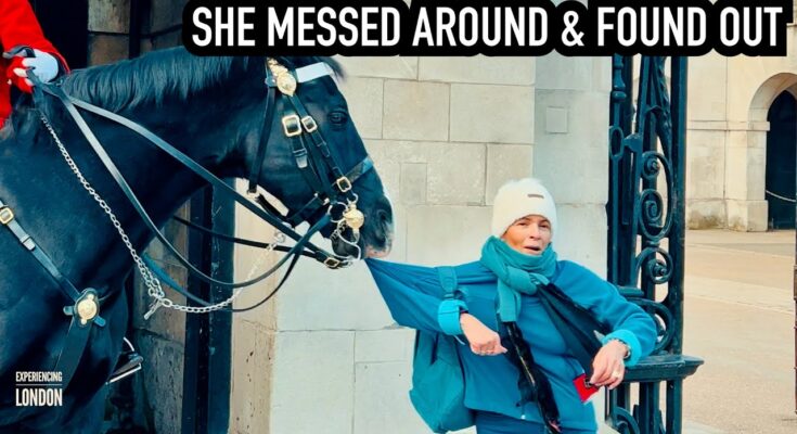 Shocking Moment Royal Guard Horse Bite Woman !
